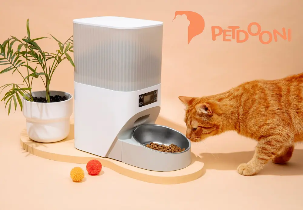 طول عمر گربه ها چقدر است؟ | افزایش عمر گربه در پت شاپ آنلاین پت دونی 1404